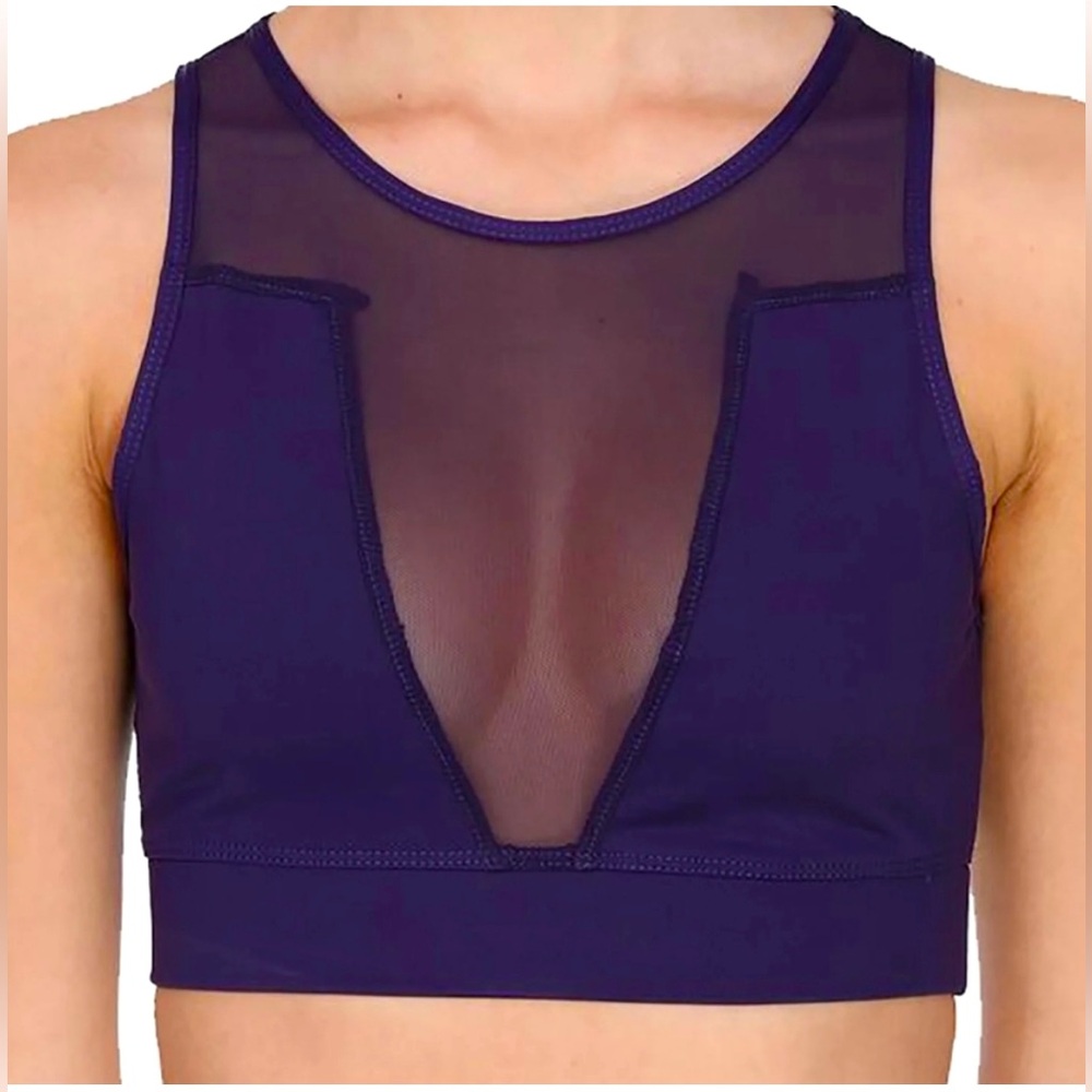 NWT PURPLE CROP TOP WITH MESH DETAILS